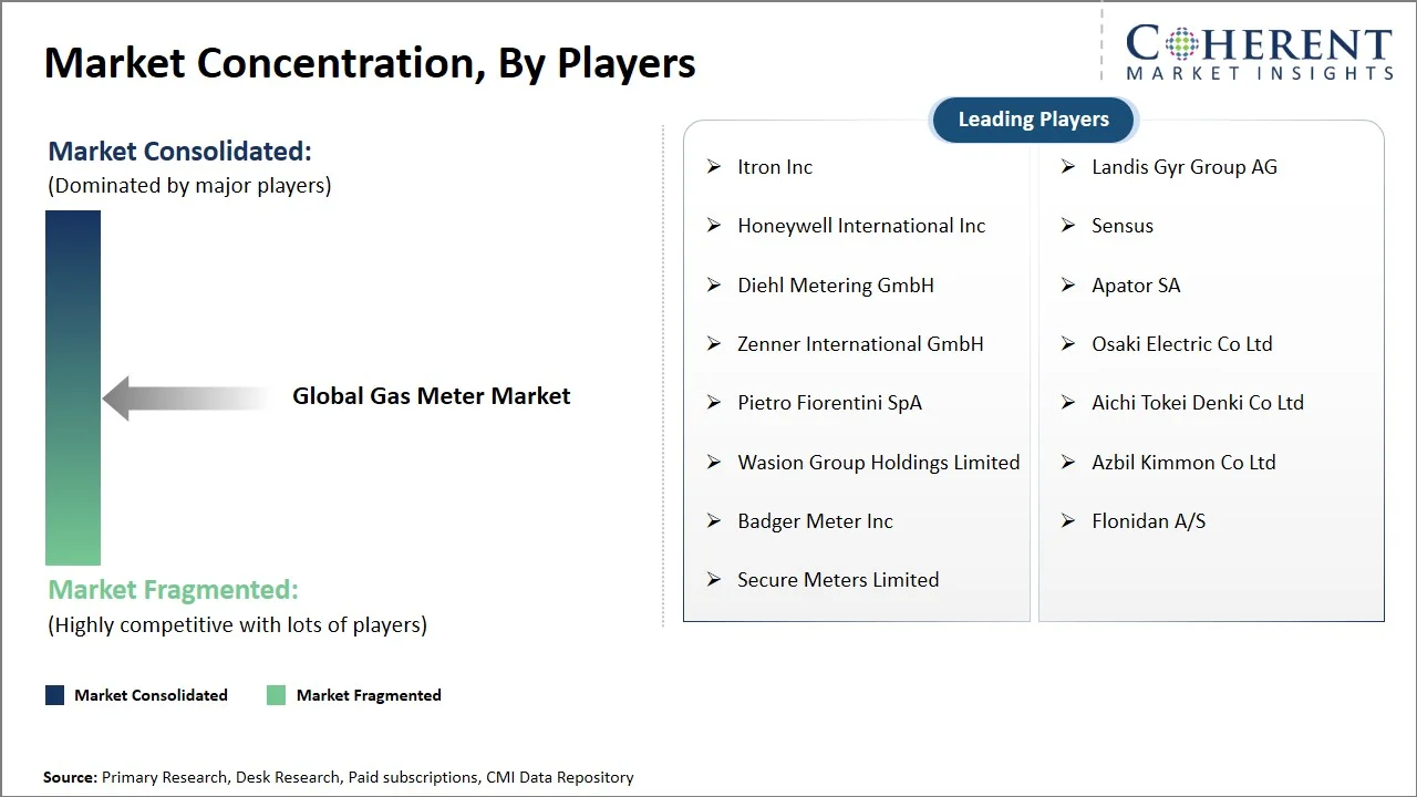 Gas Meter Market Concentration By Players