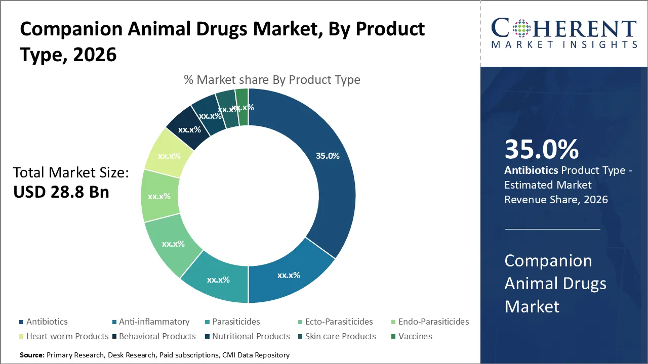 Companion Animal Drugs Market By Product Type