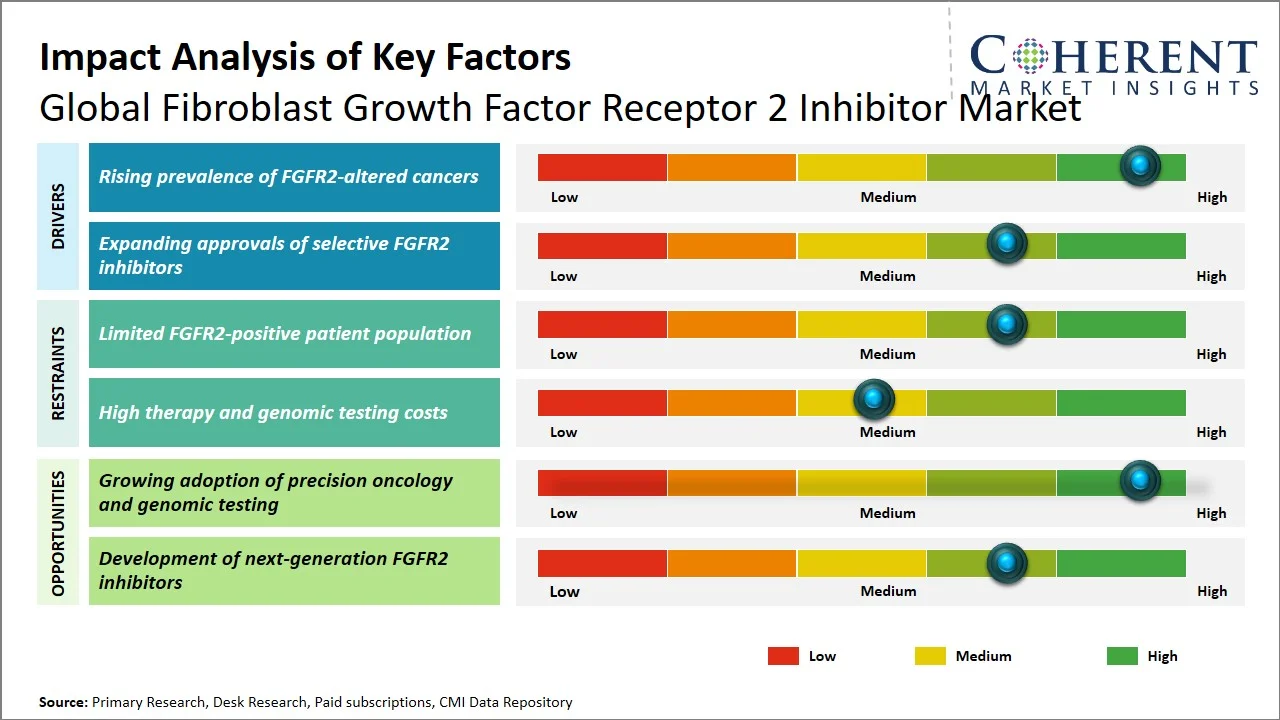Fibroblast Growth Factor Receptor 2 Inhibitor Market Key Factors Fibroblast Growth Factor Receptor 2 Inhibitor Market Key Factors