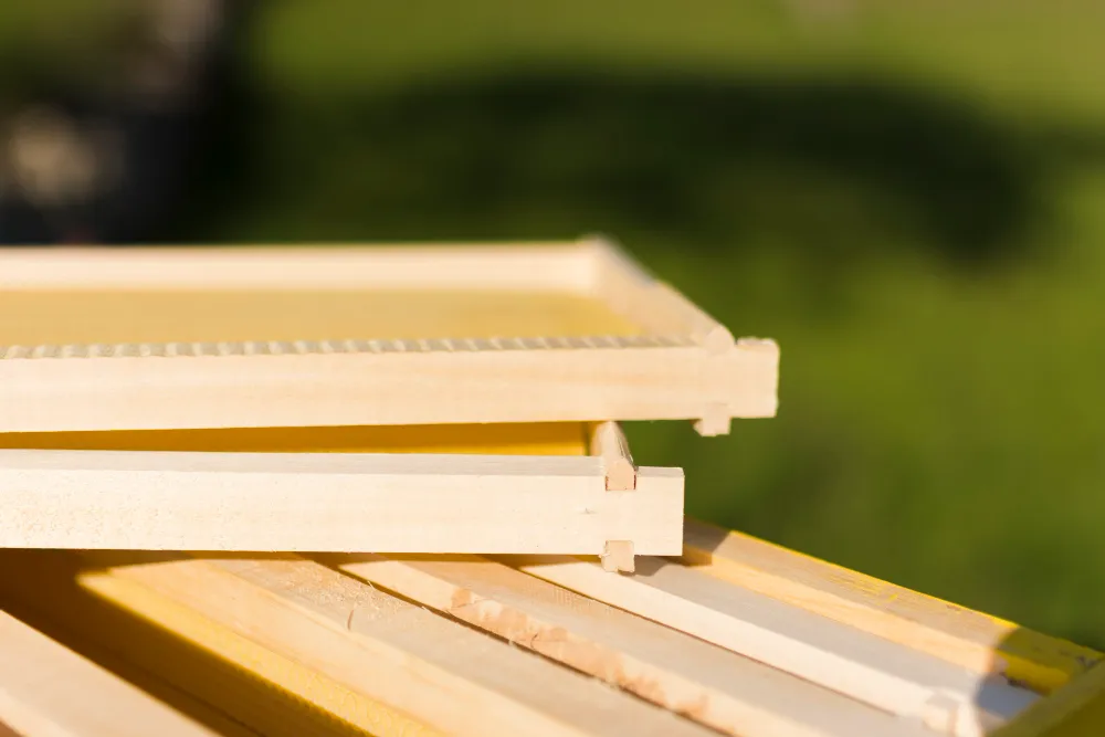 How Wood Products Support Green Building Trends By Renewable Material Trend