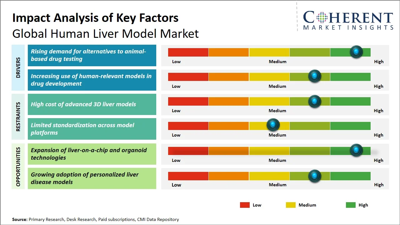 Human Liver Model Market Key Factors Human Liver Model Market Key Factors