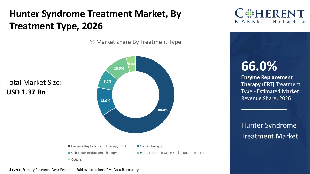 hunter syndrome treatment market by treatment type