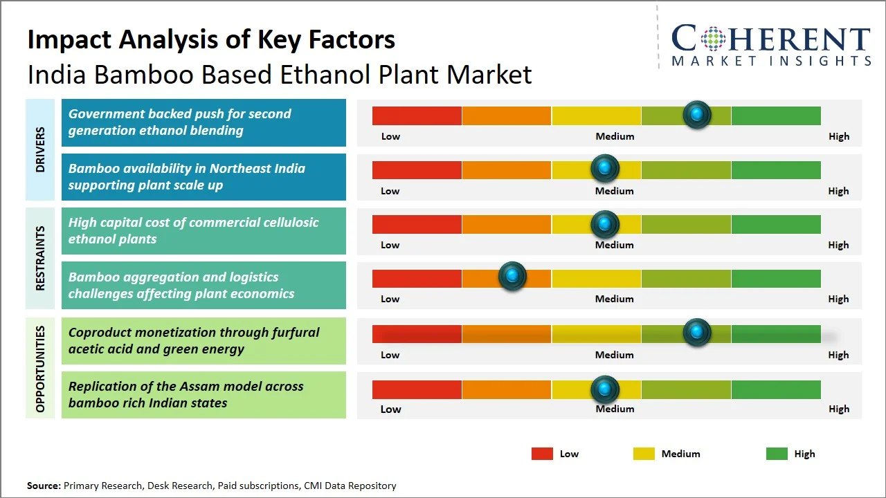 India Bamboo Based Ethanol Plant Market Key Factors