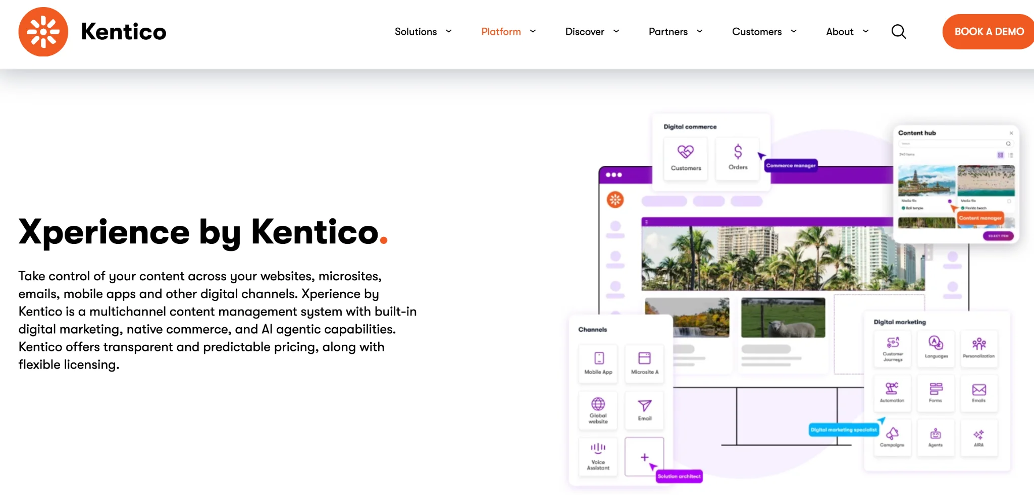 Kentico Xperience