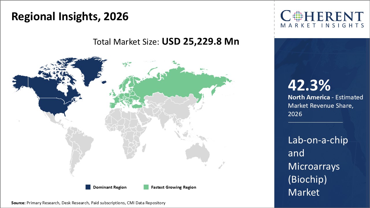 LAB-ON-A-CHIP AND MICROARRAYS (BIOCHIP) MARKET