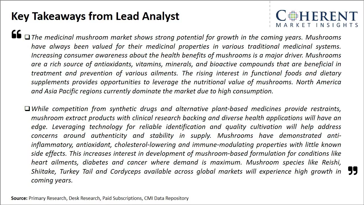 Key Takeaways From Lead Analyst