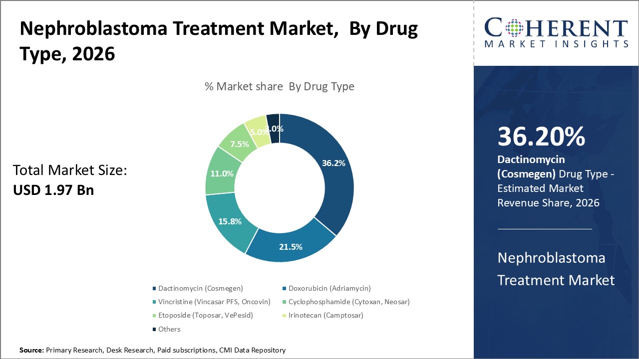 Nephroblastoma Treatment Market, By Drug Type