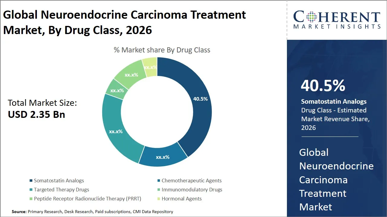 Neuroendocrine Carcinoma Treatment Market By Drug Class Neuroendocrine Carcinoma Treatment Market By Drug Class
