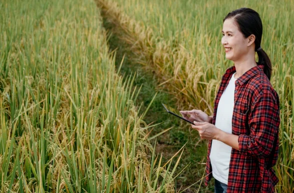 Precision Agriculture Software for Better Crop Yields By Improves Crop Yield