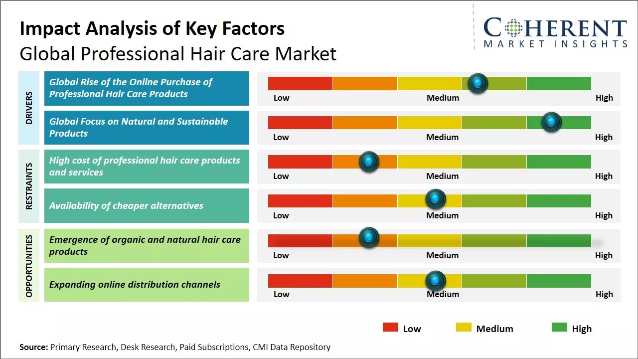 Professional Hair Care Market Key Factors
