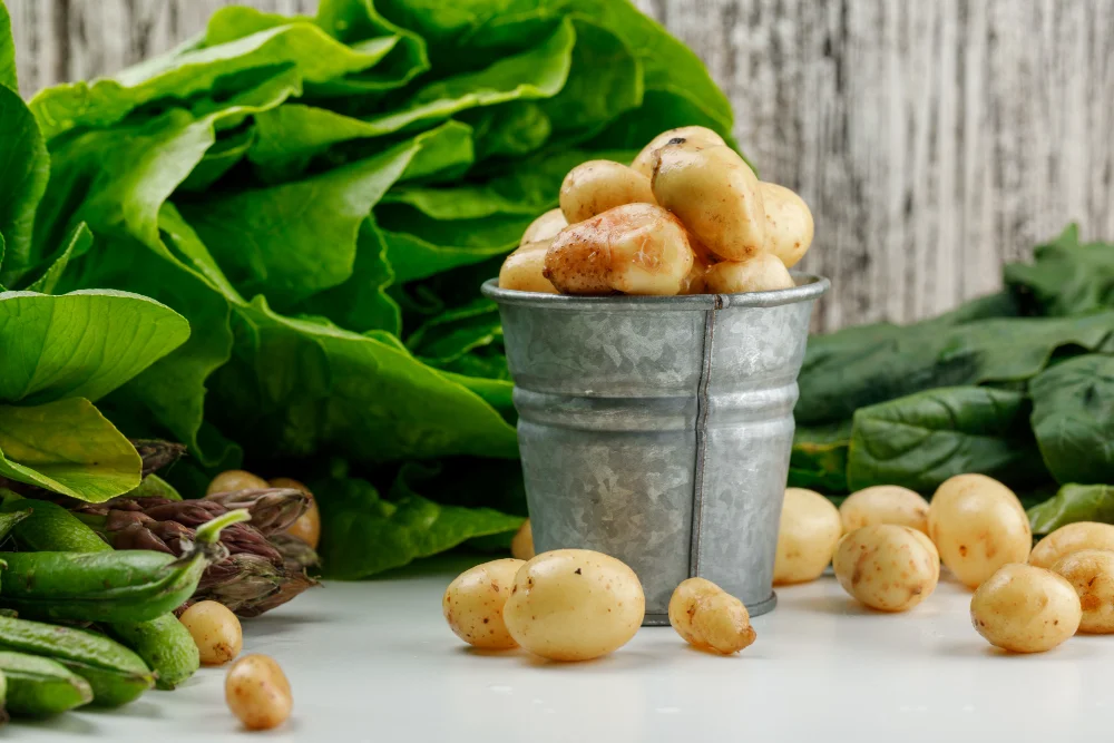 Rising Demand for Potato Protein in Plant-Based Diets By Growth in Vegan