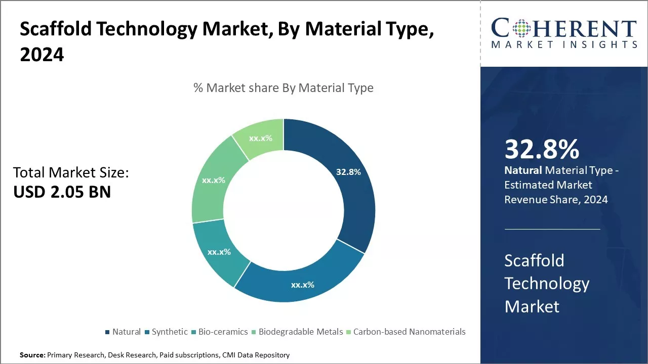 Scaffold Technology Market By Material Type
