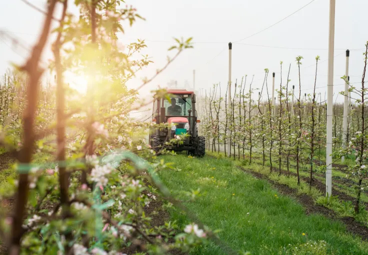 Shade Nets: How They Support Modern Agriculture Growth By Real-Life Instances