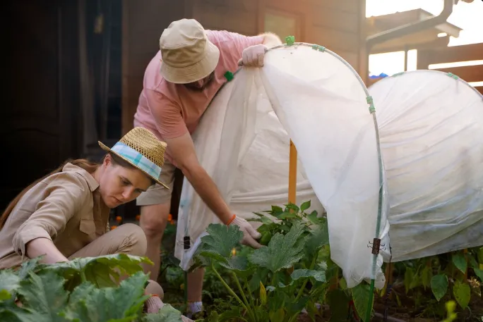 Brucellosis Vaccines Market By Key Roles