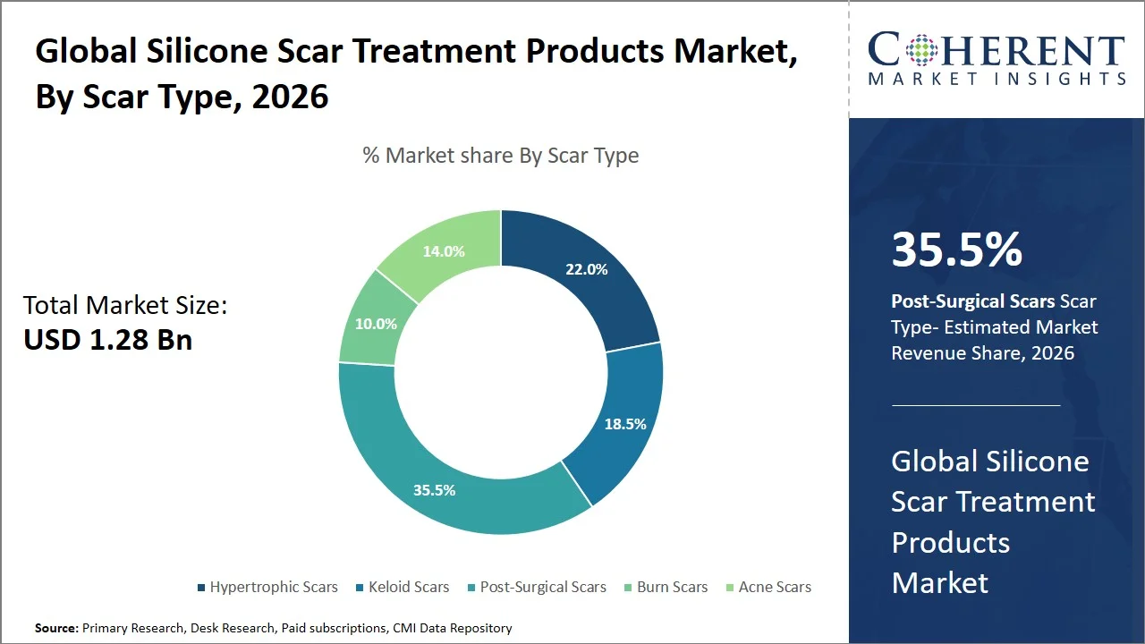 Silicone Scar Treatment Products Market By Scar Type