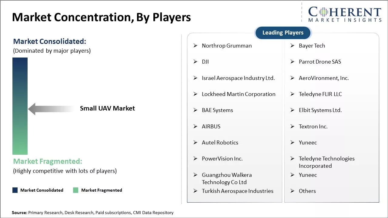 Small Uav Market Concentration By Players