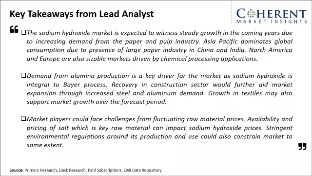 Sodium Hydroxide Market Key Takeaways From Lead Analyst