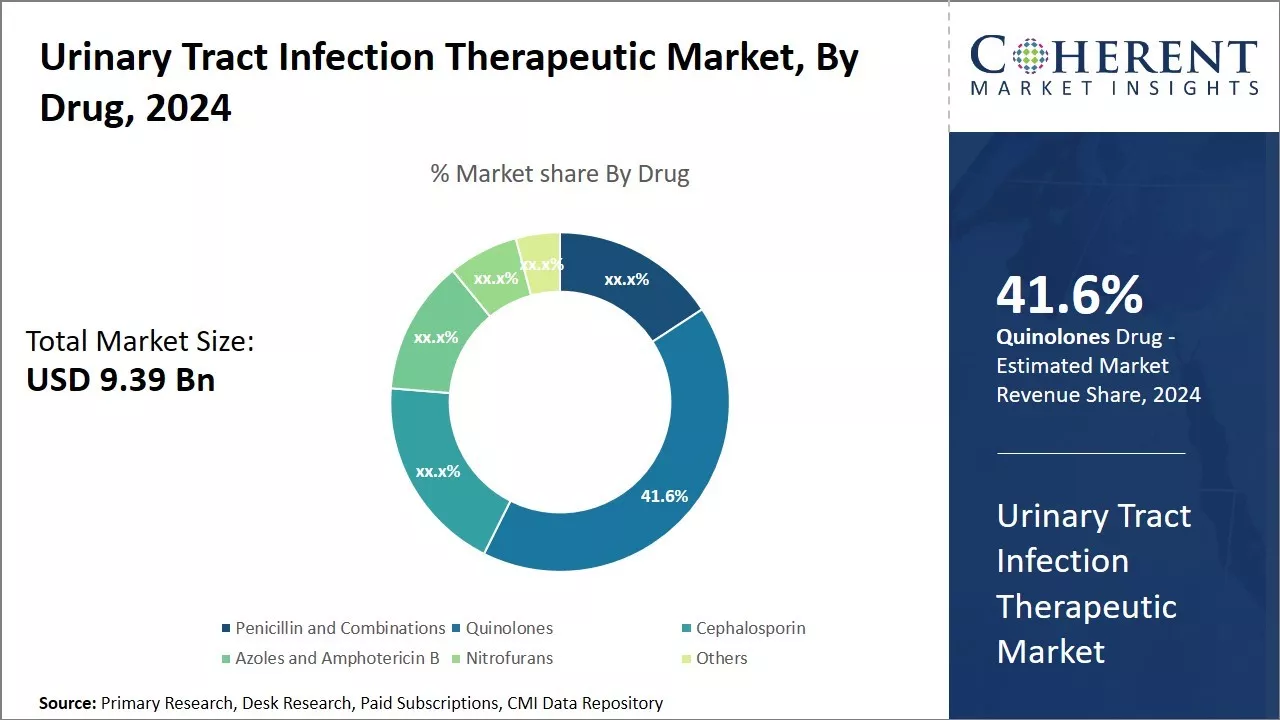 Urinary Tract Infection Therapeutic Market By Drug Type, 2024
