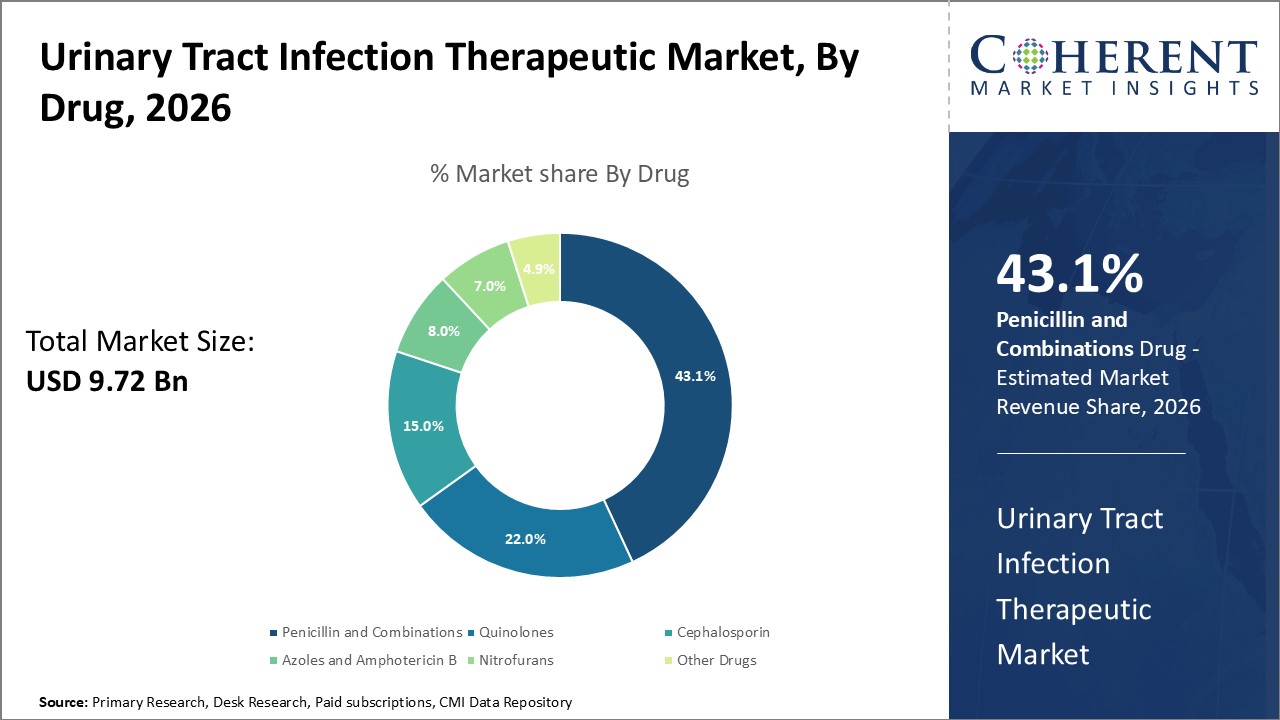 Urinary Tract Infection Therapeutic Market By Drug Type, 2026