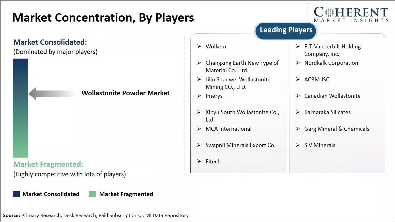 Wollastonite Powder Market Concentration By Players