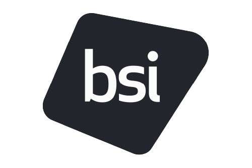 The British Standards Institution