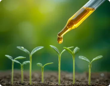Agrochemicals