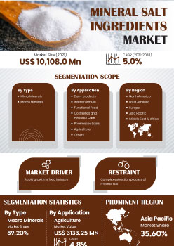 Mineral Salt Ingredients Market | Infographics |  Coherent Market Insights