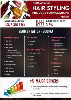 North America Hair Styling Product Formulations Market | Infographics |  Coherent Market Insights