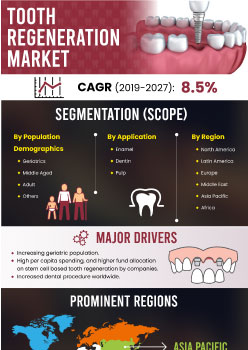 Tooth Regeneration Market | Infographics |  Coherent Market Insights