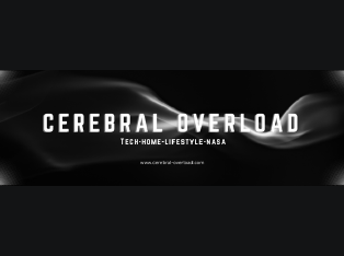 Cerebral-overload