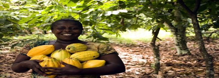 Google Commits to Support Around 1 Million Rural Women in India