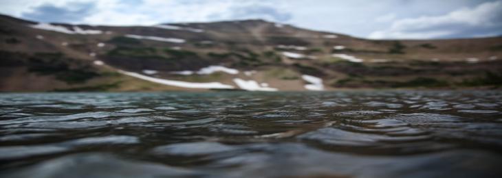 Spongy Filter Produces Purified Lake Water When Placed In the Sun, Shows A New Study