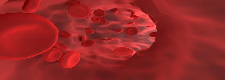 Gene Therapy Can Boost Healthy Erythrocyte Production 