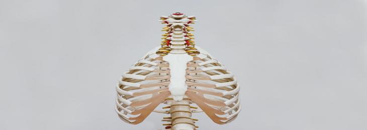 Spinal Implant Bloats Like A Little Air Mattress For Blocking Severe Pain