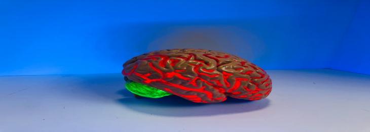 Brain Implant Of Hydrogel Might Excel Where The Others Fail