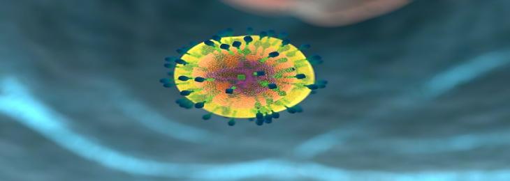 Study Reveals the Effectiveness of T cells against SARS-CoV-2