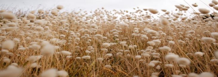 Coated Cotton Can Emerge Into Swimsuits of High-Buoyancy 