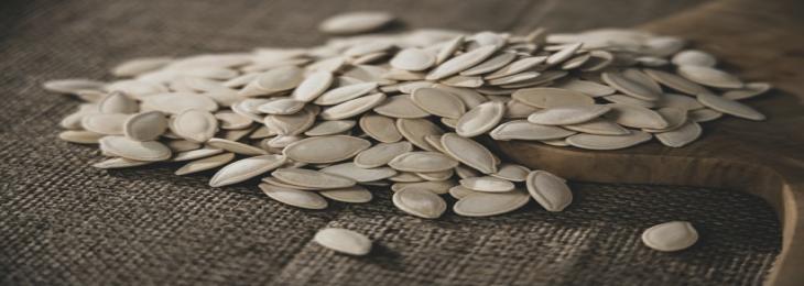 Pumpkin Seeds Provide Various Health Benefits