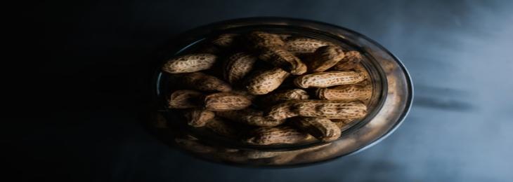 Novel Method Involving Microneedles May Treat Peanut Allergies