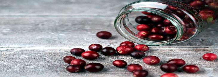 100g Of Cranberries Every Day Helps Improve Cardiovascular Health