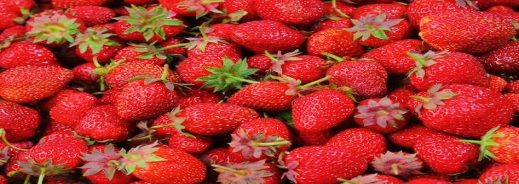 Strawberries Might Not Taste As Good Because Of Pesticides