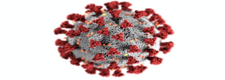 Scientists Find Molecule Neutralizing SARS-Cov-2 Virus, Could Reduce Infection Duration