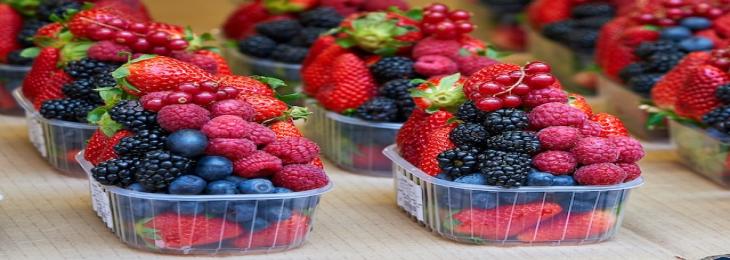 Berries Guard Against Memory Loss In Adults
