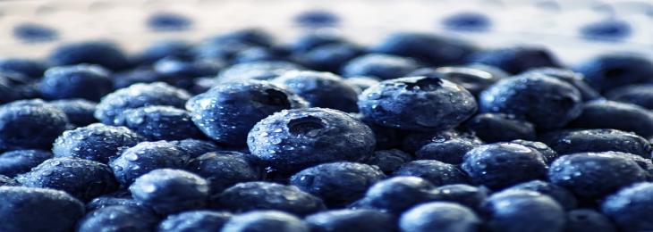 Blueberries: The Tiny Superfood With Big Health Benefits