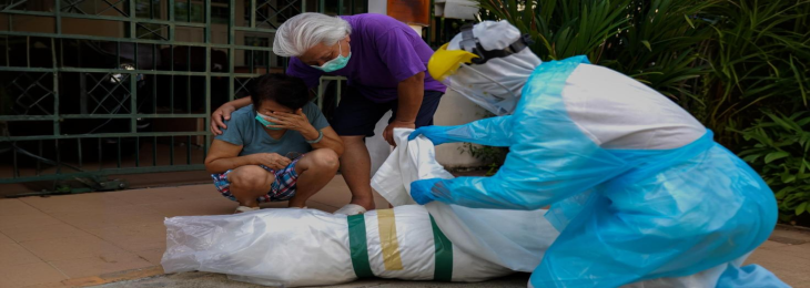 Colombia Declares Health Emergency Amid Rising Yellow Fever Cases and Deaths