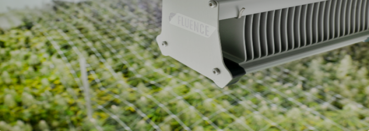 Fluence unveiled New Red Sandwich Lighting and Product Line at MJBizCon 2025