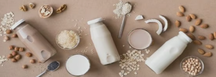 Holland Dairy is Adding a New Vanilla Yogurt to its Products