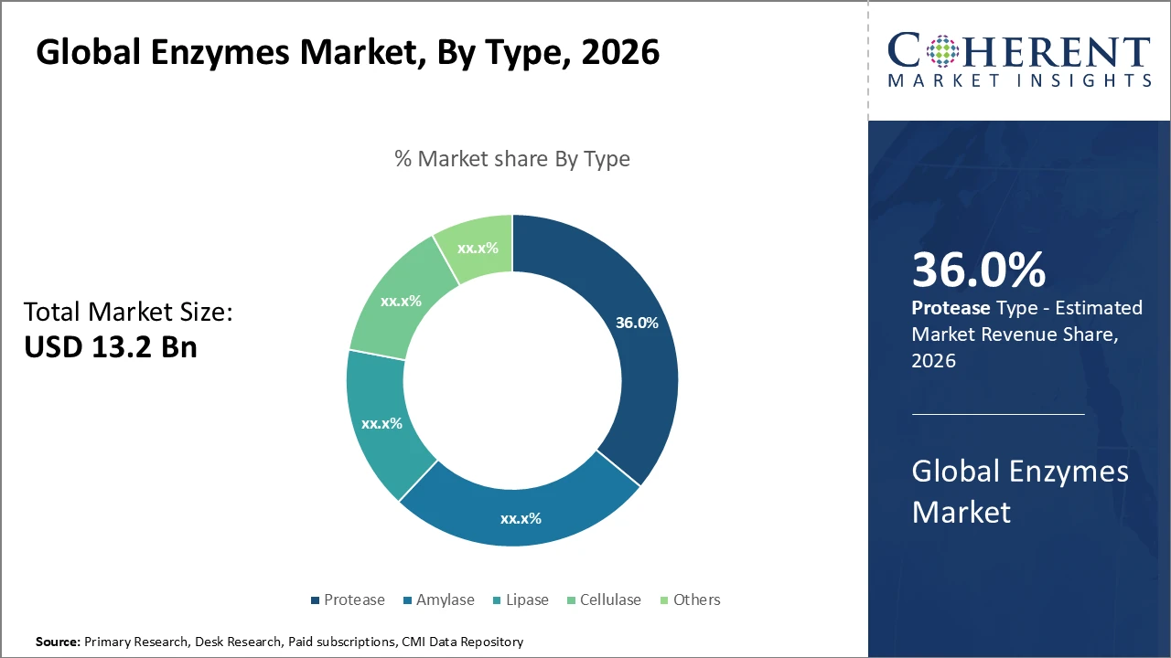 enzymes market_fig1
